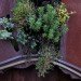 Watershed Wall, Toronto, Ferruccio Sardella, Evergreen Brick Works, Living Wall