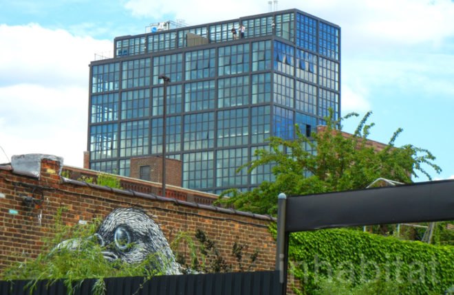 adaptive reuse, Andrew Tarlow, eco design, factory windows, green design, ides, Marlow and Sons, radiant heat floor, reclaimed factory, Reynards, sustainable design, Williamsburg, Wythe Hotel