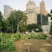 Five Borough Farm Study, Design Trust for Public Space, urban agriculture in New York, grassroots-led Farm and garden initiatives, urban design, public space, green public space, sustainable design, environmental design, urban farms, nyc urban garden policy