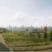 Five Borough Farm Study, Design Trust for Public Space, urban agriculture in New York, grassroots-led Farm and garden initiatives, urban design, public space, green public space, sustainable design, environmental design, urban farms, nyc urban garden policy