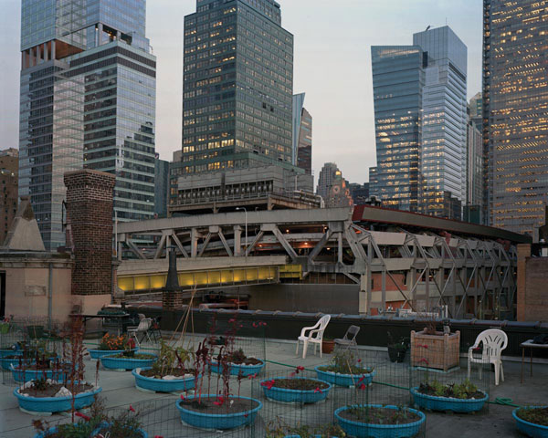 Five Borough Farm Study, Design Trust for Public Space, urban agriculture in New York, grassroots-led Farm and garden initiatives, urban design, public space, green public space, sustainable design, environmental design, urban farms, nyc urban garden policy