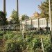 Five Borough Farm Study, Design Trust for Public Space, urban agriculture in New York, grassroots-led Farm and garden initiatives, urban design, public space, green public space, sustainable design, environmental design, urban farms, nyc urban garden policy