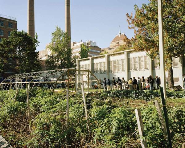 Five Borough Farm Study, Design Trust for Public Space, urban agriculture in New York, grassroots-led Farm and garden initiatives, urban design, public space, green public space, sustainable design, environmental design, urban farms, nyc urban garden policy