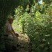 Five Borough Farm Study, Design Trust for Public Space, urban agriculture in New York, grassroots-led Farm and garden initiatives, urban design, public space, green public space, sustainable design, environmental design, urban farms, nyc urban garden policy