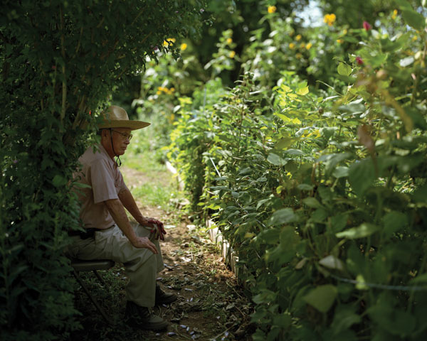Five Borough Farm Study, Design Trust for Public Space, urban agriculture in New York, grassroots-led Farm and garden initiatives, urban design, public space, green public space, sustainable design, environmental design, urban farms, nyc urban garden policy
