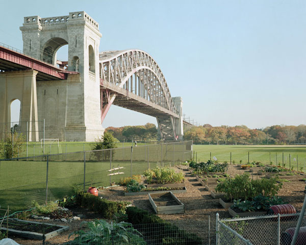 Five Borough Farm Study, Design Trust for Public Space, urban agriculture in New York, grassroots-led Farm and garden initiatives, urban design, public space, green public space, sustainable design, environmental design, urban farms, nyc urban garden policy