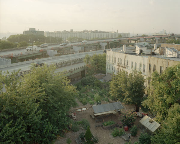 Five Borough Farm Study, Design Trust for Public Space, urban agriculture in New York, grassroots-led Farm and garden initiatives, urban design, public space, green public space, sustainable design, environmental design, urban farms, nyc urban garden policy