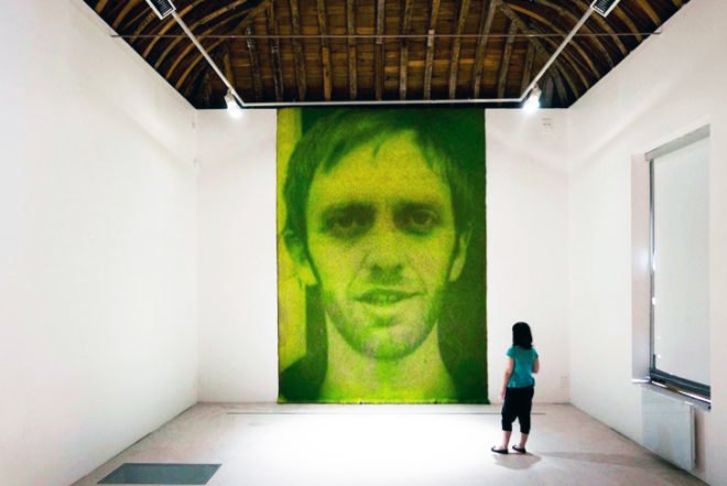 Ackroyd & Harvey, grass photograph, Heather Ackroyd, Dan Harvey, grass art, Face to Face