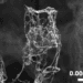 lightest material in the world, lightest material in the world, aerographite, university of kiel, Hamburg University of Technology, carbon nanotubes, carbon network, lithium ion batteries,