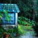 green design, eco design, sustainable design, UNESCO World Heritage, Almaa SIntra Hostel, Portugal, Pena National Palace, Sintra Mountains, organic vegetables, eco hostels, eco tourism