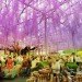 Almere, Floriade 2022, MVRDV, green city, horticulture expo, the netherlands, landscape architecture
