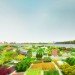 Almere, Floriade 2022, MVRDV, green city, horticulture expo, the netherlands, landscape architecture