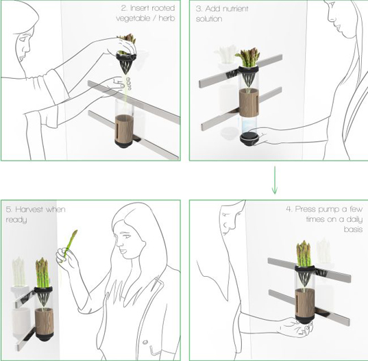 Auxano Hydroponic Vegetable and Herb Grower, green design, eco-friendly product