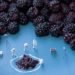 Christopher Boffoli, Big Appetites, food, photographs, small people, Art, Sustainable Food, Sustainable Materials