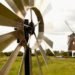 Dave Hakkens, seeds, nuts, Design Academy of Eindhoven, dutch design, Wind Oil, wind power, renewable energy, energy efficiency, Wind Power, Green Products