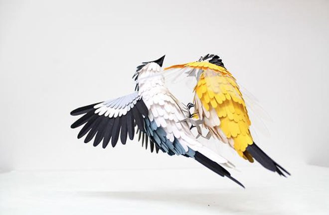 green design, eco design, sustainable design, paper sculptures, Diana Beltran Herrera, paper birds, Hanni Bkartlaid