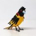 green design, eco design, sustainable design, paper sculptures, Diana Beltran Herrera, paper birds, Hanni Bkartlaid