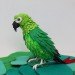 green design, eco design, sustainable design, paper sculptures, Diana Beltran Herrera, paper birds, Hanni Bkartlaid