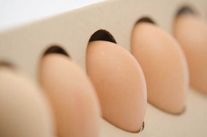 Otília Erdélyi, egg carton, cardboard design, envrionmentally friendly design, Moholy-Nagy University, simple design, redesign, egg box, cardboard egg box
