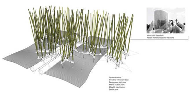 Emotioning Topography, Solar Parking Canopy, green parking structures, solar parking structures, solar powere parking structure, biomimicry, green architecture, disguincio & co