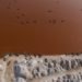 lake retba, lac rose, micro algae, pink waters, senegal, pink lake, tourist attraction