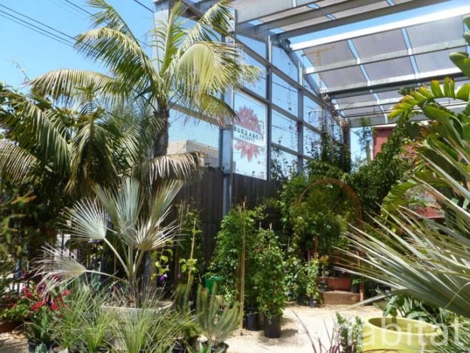inhabitat, flora grubb, flora grubb gardens, inhabitat tour, gardening, eco gardening, living walls