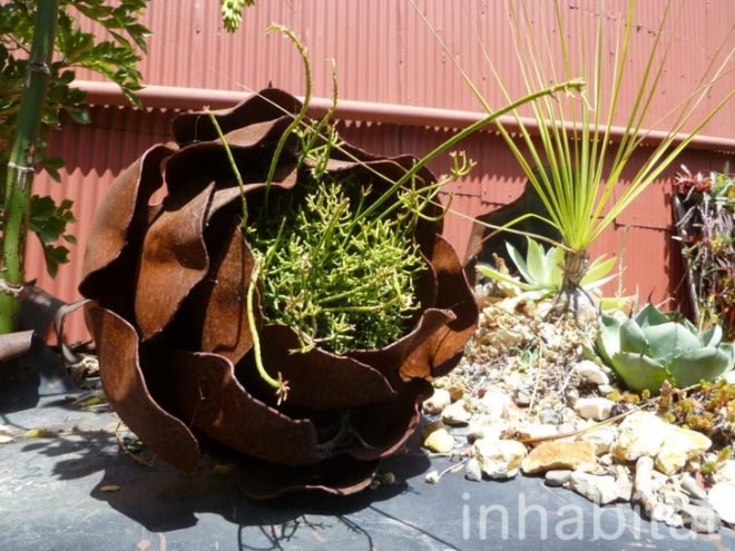 inhabitat, flora grubb, flora grubb gardens, inhabitat tour, gardening, eco gardening, living walls