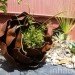 inhabitat, flora grubb, flora grubb gardens, inhabitat tour, gardening, eco gardening, living walls