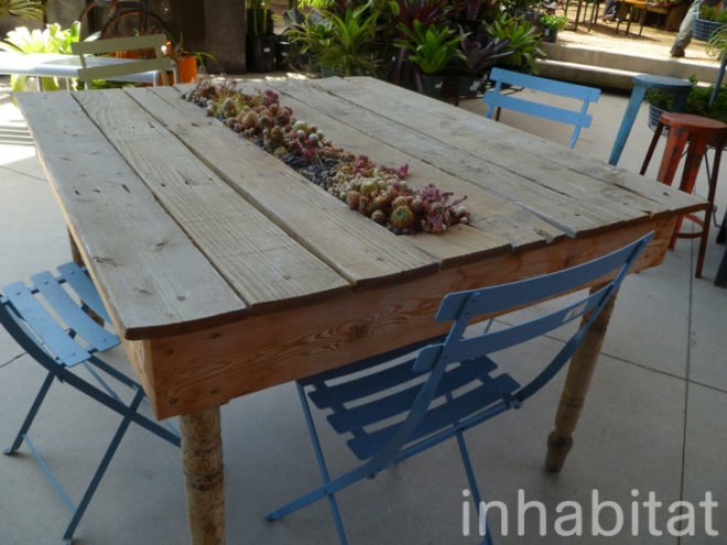 inhabitat, flora grubb, flora grubb gardens, inhabitat tour, gardening, eco gardening, living walls