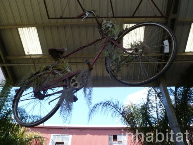 inhabitat, flora grubb, flora grubb gardens, inhabitat tour, gardening, eco gardening, living walls