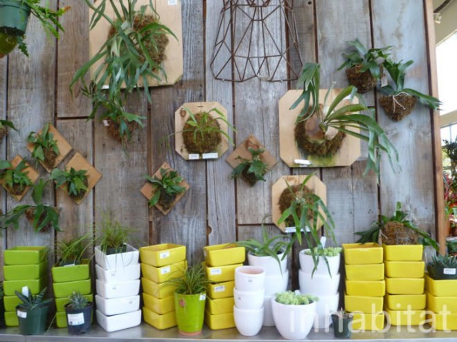 inhabitat, flora grubb, flora grubb gardens, inhabitat tour, gardening, eco gardening, living walls