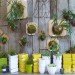 inhabitat, flora grubb, flora grubb gardens, inhabitat tour, gardening, eco gardening, living walls