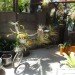 inhabitat, flora grubb, flora grubb gardens, inhabitat tour, gardening, eco gardening, living walls
