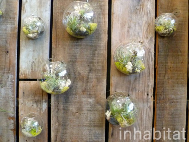 inhabitat, flora grubb, flora grubb gardens, inhabitat tour, gardening, eco gardening, living walls
