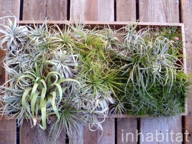 inhabitat, flora grubb, flora grubb gardens, inhabitat tour, gardening, eco gardening, living walls