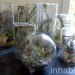 inhabitat, flora grubb, flora grubb gardens, inhabitat tour, gardening, eco gardening, living walls