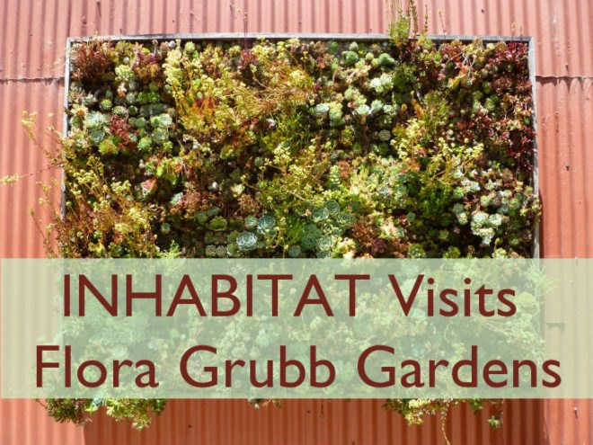 inhabitat, flora grubb, flora grubb gardens, inhabitat tour, gardening, eco gardening, living walls
