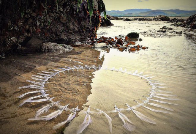 green design, eco design, sustainable design, Gerry Barry, Land Art Movement, Cork, Ireland, Irish Artists, environmental artists