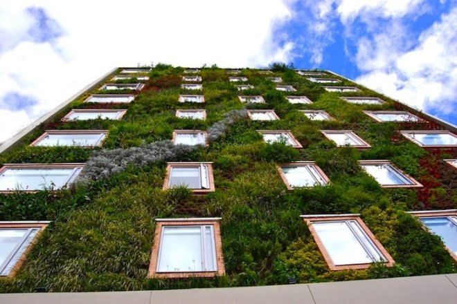 Paisajismo Urbano, Hotel Gaia, B3, Bogota, Colombia, living wall, vertical garden, vertical ecosystems, green wall, urban design, pollution, green design, sustainable design, eco-design, botanical design