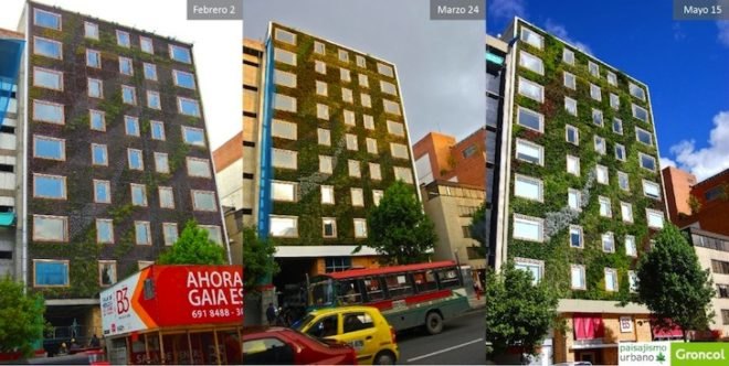 Paisajismo Urbano, Hotel Gaia, B3, Bogota, Colombia, living wall, vertical garden, vertical ecosystems, green wall, urban design, pollution, green design, sustainable design, eco-design, botanical design
