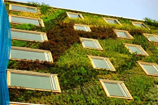 Paisajismo Urbano, Hotel Gaia, B3, Bogota, Colombia, living wall, vertical garden, vertical ecosystems, green wall, urban design, pollution, green design, sustainable design, eco-design, botanical design