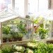 green design, eco design, sustainable design, IKEA, SOCKER, mini greenhouse, terrarium, indoor gardening