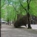 Jaakko Pernu, finland, Oulu, willow, public sculptures, biodegradable materials, temporary, branches, Botanical, Green Materials, Urban design, Recycling / Compost, Landscape Architecture