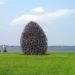 Jaakko Pernu, finland, Oulu, willow, public sculptures, biodegradable materials, temporary, branches, Botanical, Green Materials, Urban design, Recycling / Compost, Landscape Architecture