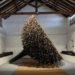 Jaakko Pernu, finland, Oulu, willow, public sculptures, biodegradable materials, temporary, branches, Botanical, Green Materials, Urban design, Recycling / Compost, Landscape Architecture