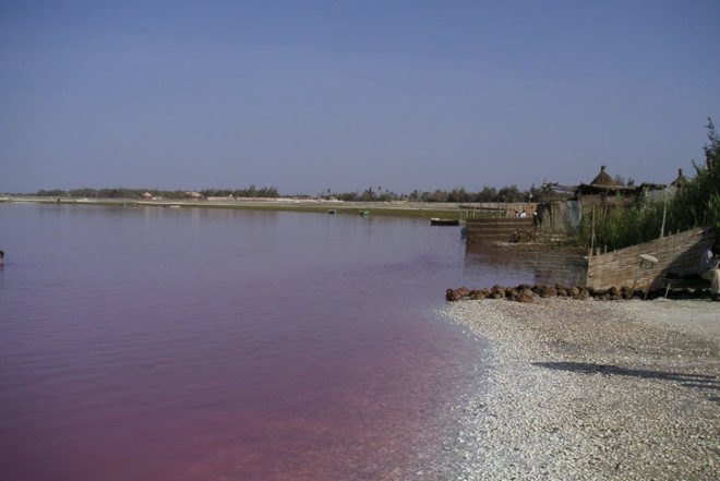 lake retba, lac rose, micro algae, pink waters, senegal, pink lake, tourist attraction