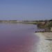 lake retba, lac rose, micro algae, pink waters, senegal, pink lake, tourist attraction