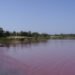 lake retba, lac rose, micro algae, pink waters, senegal, pink lake, tourist attraction