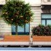 Matteo Cibic, Tree Trolley, Smart Urban Stage, Tree Trolley and Bench, Urban design, parking space parkelts, parkets, urban greening, greening spaces in the city, greening cities