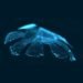 caltech, harvard, artificial organs, artificial jellyfish, heart muscle cells, biomimicry, jellyfish cells, rat cells, synthetic life, genetic cells, artificial jellyfish, medusoid
